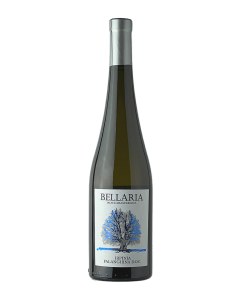 BELLARIA - Falanghina Irpinia DOC - 75cl