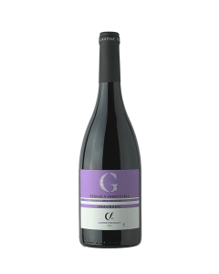 CANTINE FEDERICIANE - Gragnano Penisola Sorrentina - DOP - 75cl