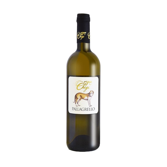 VIGNE CHIGI - Pallagrello White IGP - 75CL