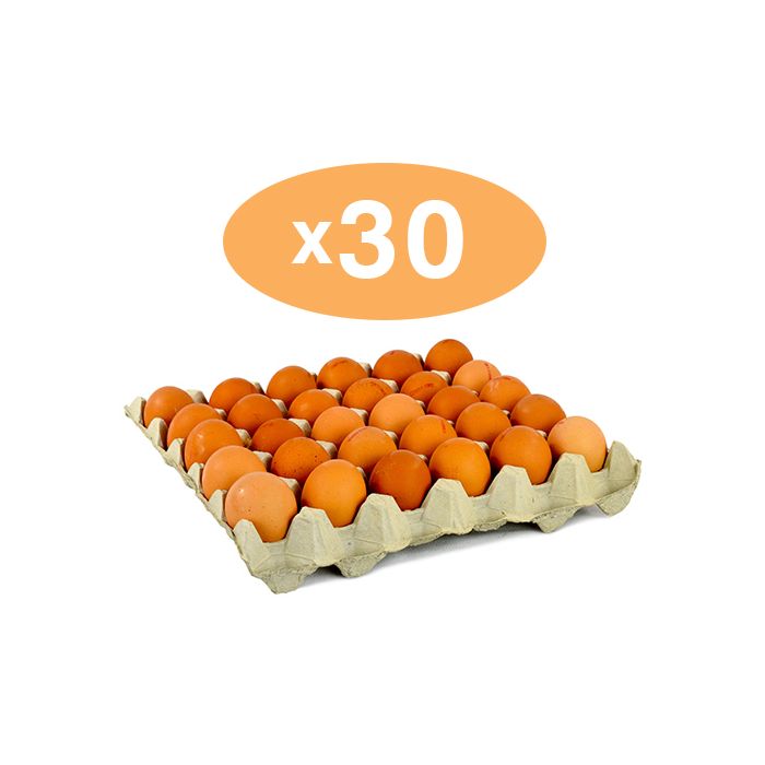 Eggs x 30 