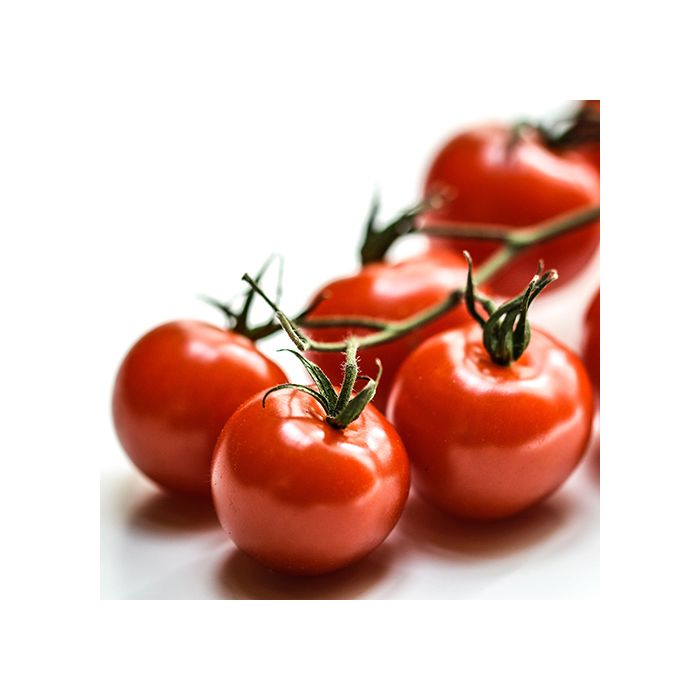 Cherry Tomatoes on the Vine - Price per kg