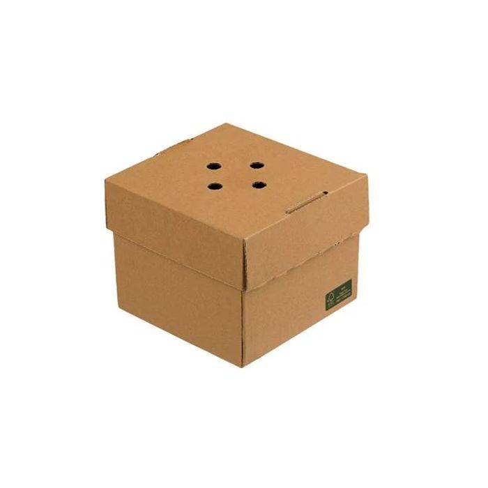 TESSERA - Kraft Paper Food Box with ventilated lid 