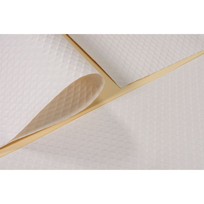 WHITE PLACEMATS- 30X40 - 1X500PZ - 500PCS