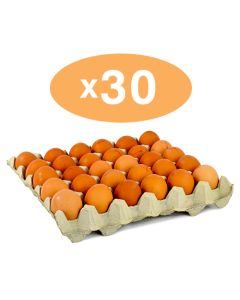 Eggs x 30 