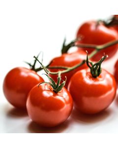 Cherry Tomatoes on the Vine - Price per kg