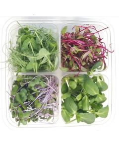 Micro Herbs - Approx 250 gr